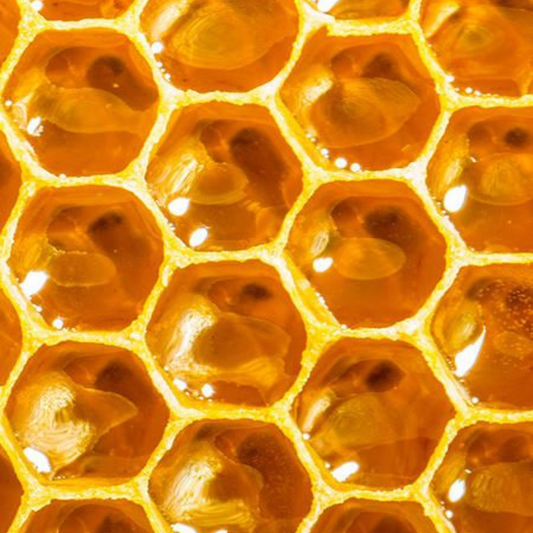 The Scoop on Bee Products: the superfoods of 2024