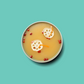 Healing Bone Broth